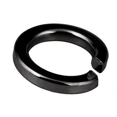 M6 Lock Washer